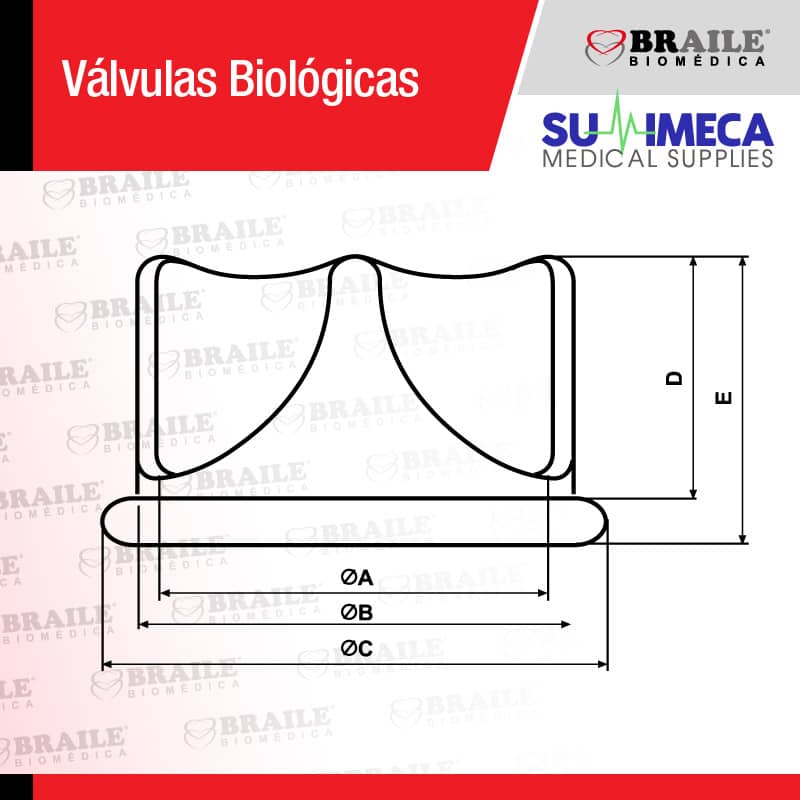 Vávula Biológica de pericardio Bovino - Imagen 3