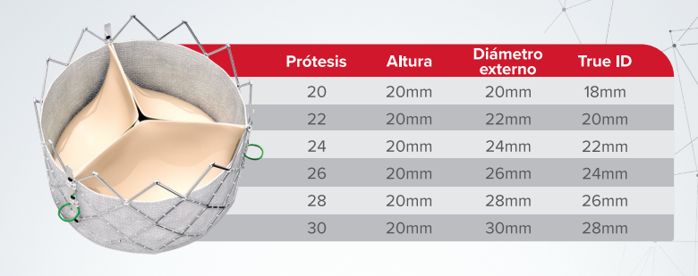 Innovare ALPHA - Prótesis de Válvula Biológica - Imagen 4