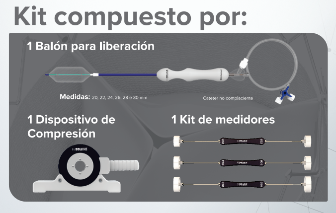 Innovare ALPHA - Prótesis de Válvula Biológica - Imagen 5