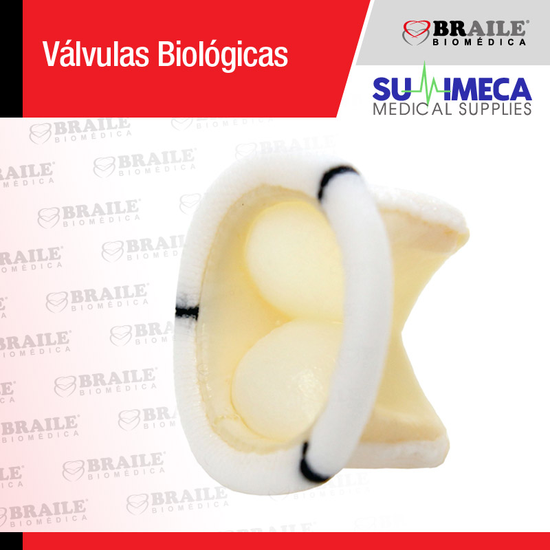 Vávula Biológica de pericardio Bovino