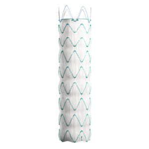 DOMINUS Endoprótesis Stent-Graft — Braile