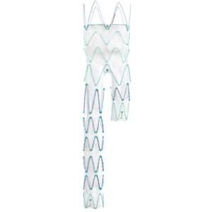LINUS Endoprótesis Stent-Graft — Braile